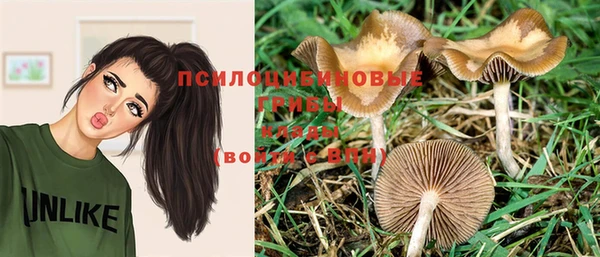 mix Семёнов
