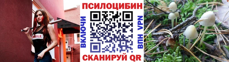 как найти   Трубчевск  Псилоцибиновые грибы GOLDEN TEACHER 